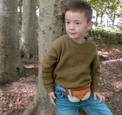 Ľadvinka Líška Felix