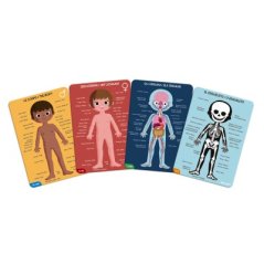 Vzdelávacie puzzle Ľudské telo
