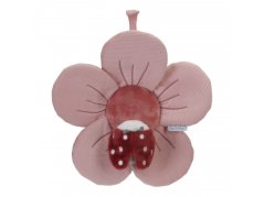 Hrajúci kvietok Kvety a motýle