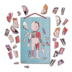 Magnetická skladačka Ľudské telo