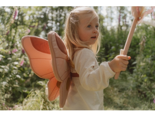 Vílie krídla a kúzelná palička Fairy Garden
