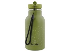 Detská termoska z nerezovej ocele Mr. Dino 350ml